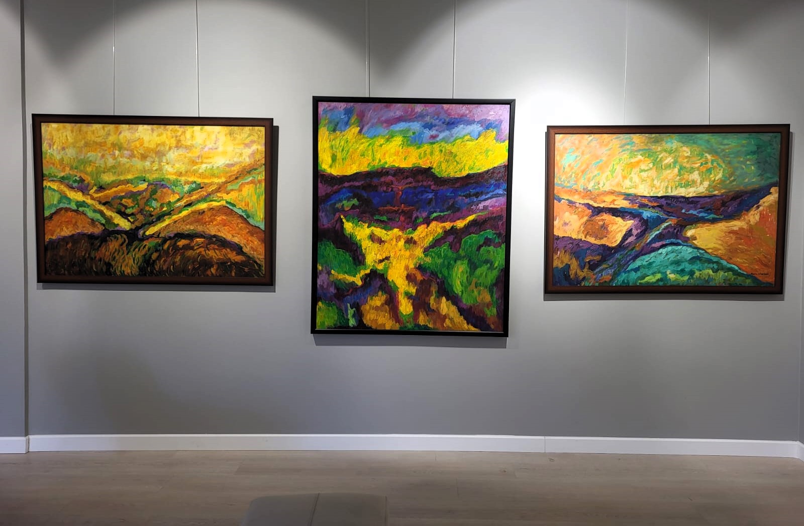 Fehim Güler’den “Periods and Colors” sergisi